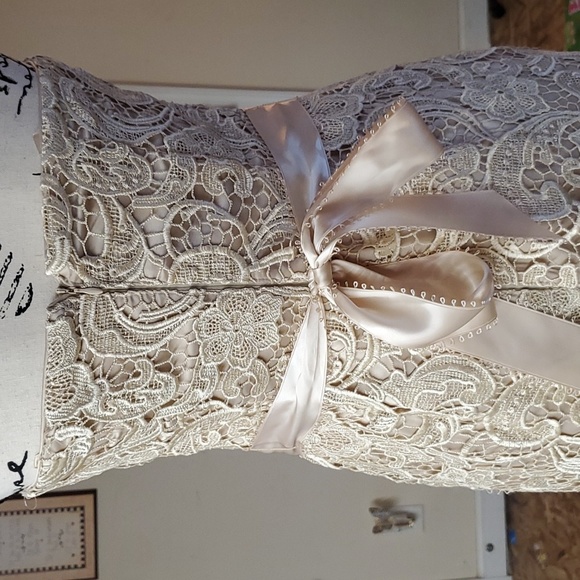 Adrianna Papell Evening Dress - Picture 6 of 15